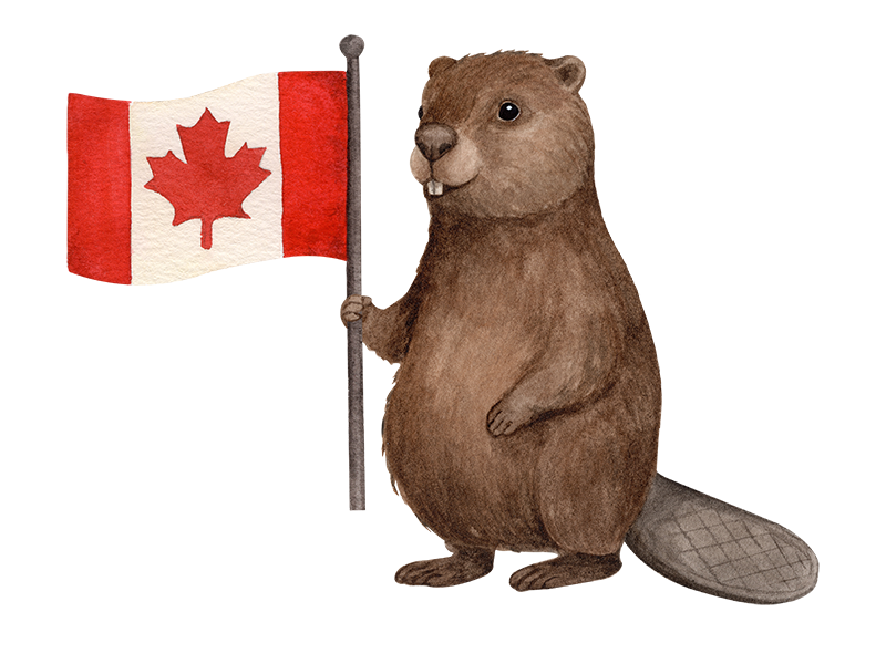 Armada Transport Canadian Runs